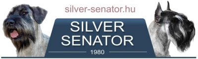 Silver Senator